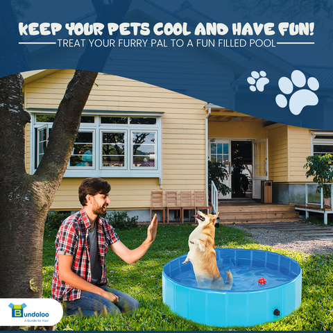 Bundaloo Collapsible Foldable Portable Dog Pool