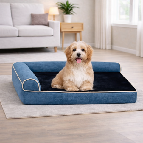 Bundaloo Orthopedic Memory Foam Dog Bed with Waterproof Liner & Washable Cover